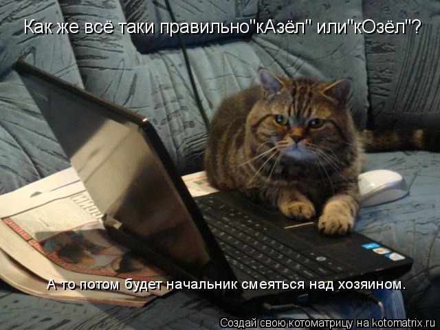 Как же всё таки правильно"кАзёл" или"кОзёл"? А то потом будет начальник смеяться над хозяином.... Котоматрица: Как же всё таки правильно"кАзёл" или"кОзёл"? А то потом будет начальник смеяться над хозяином.
