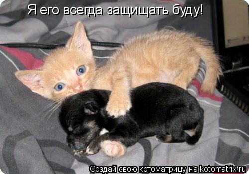 Я его всегда защищать буду!... Котоматрица: Я его всегда защищать буду!