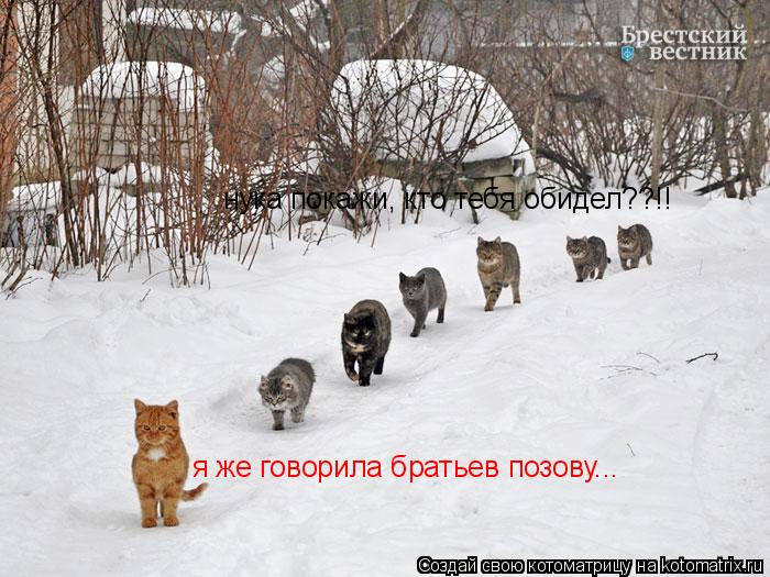 нука покажи, кто тебя обидел??!! я же говорила братьев позову...... Котоматрица: нука покажи, кто тебя обидел??!! я же говорила братьев позову...