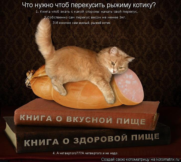 Что нужно чтоб перекусить рыжиму котику? 1. Книга чтоб знать с какой стороны начать свой перекус. 2.С... Котоматрица: Что нужно чтоб перекусить рыжиму котику? 1. Книга чтоб знать с какой стороны начать свой перекус. 2.Собственно сам перекус весом не менее 3кг.
