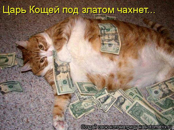 Царь Кощей под златом чахнет...... Котоматрица: Царь Кощей под златом чахнет...