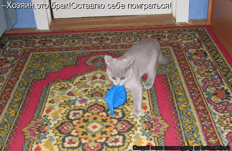 --Хозяин,это брак!Оставлю себе поиграться!... Котоматрица: --Хозяин,это брак!Оставлю себе поиграться!