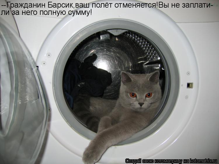 Котоматрица: --Гражданин Барсик,ваш полёт отменяется!Вы не заплати- ли за него полную сумму!