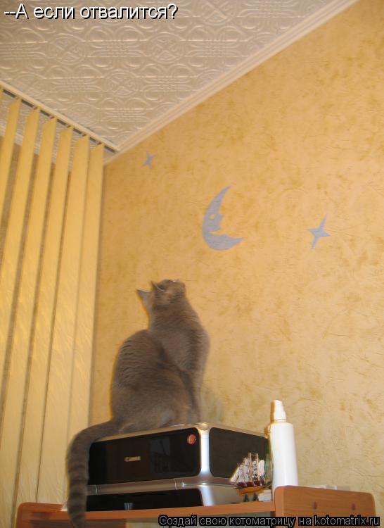 Котоматрица: --А если отвалится?