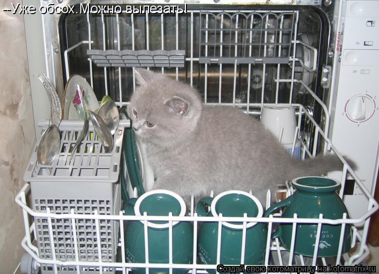 Котоматрица: --Уже обсох.Можно вылезать!