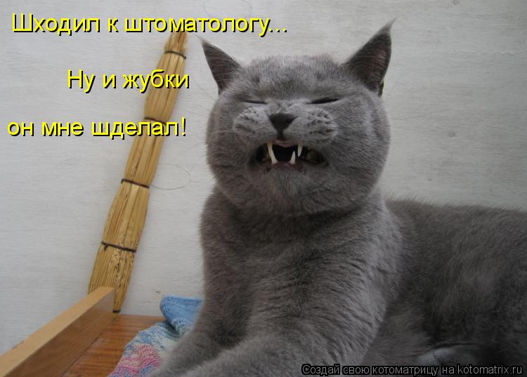 Котоматрица: Шходил к штоматологу... Ну и жубки  он мне шделал!