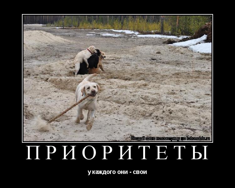 приоритеты у каждого они - свои... Котоматрица: приоритеты у каждого они - свои