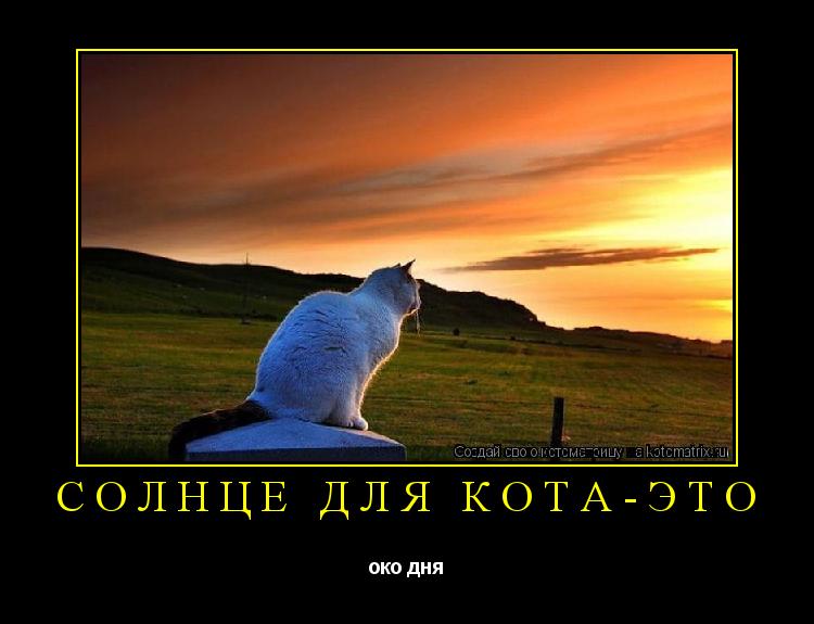 Котоматрица: солнце для кота-это око дня