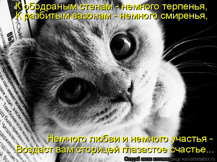 Котоматрица: К разбитым вазонам - немного смиренья, К ободраным стенам - немного терпенья, Немного любви и немного участья -  Воздаст вам сторицей глазаст