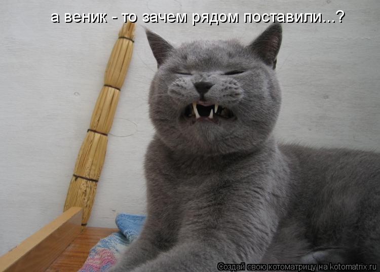 а веник - то зачем рядом поставили...?... Котоматрица: а веник - то зачем рядом поставили...?