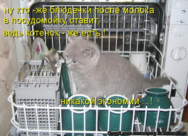 ну кто -же блюдечки после молока в посудомойку ставит, ведь котенок - же есть ! никакой экономии ...... Котоматрица: ну кто -же блюдечки после молока в посудомойку ставит, ведь котенок - же есть ! никакой экономии ...!