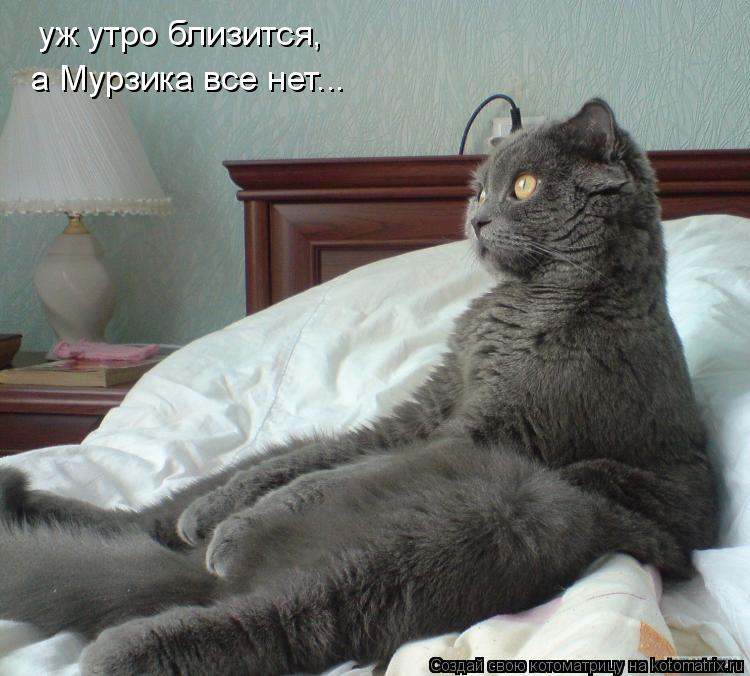 уж утро близится, а Мурзика все нет...... Котоматрица: уж утро близится, а Мурзика все нет...