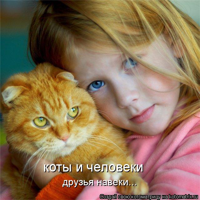 Котоматрица: друзья навеки... коты и человеки