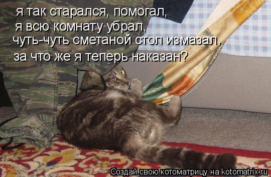 я так старался, помогал, я всю комнату убрал, за что же я теперь наказан? чуть-чуть сметаной стол изм... Котоматрица: я так старался, помогал, я всю комнату убрал, за что же я теперь наказан? чуть-чуть сметаной стол измазал ,