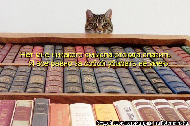 Я все равно за собой убирать не умею. Hет мне никакого смысла отсюда слазить.... Котоматрица: Я все равно за собой убирать не умею. Hет мне никакого смысла отсюда слазить.
