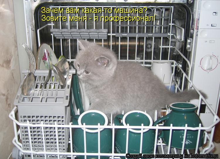 Зовите меня - я профессионал! Зачем вам какая-то машина?... Котоматрица: Зовите меня - я профессионал! Зачем вам какая-то машина?