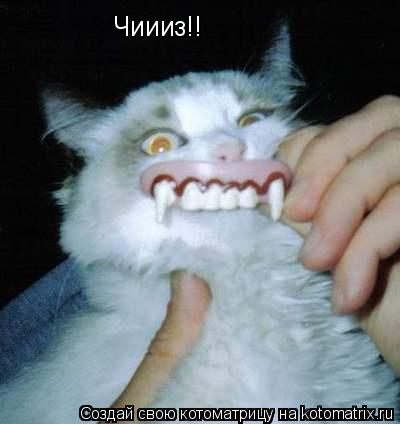 Котоматрица: Чиииз!!