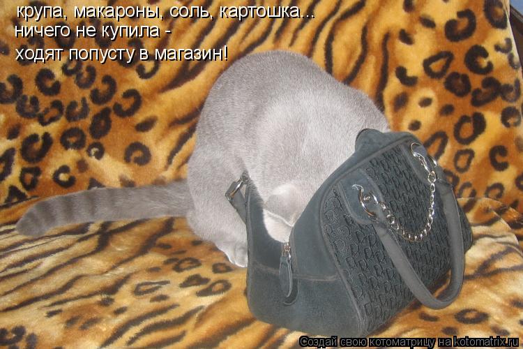 Котоматрица: крупа, макароны, соль, картошка... ничего не купила -  ходят попусту в магазин!