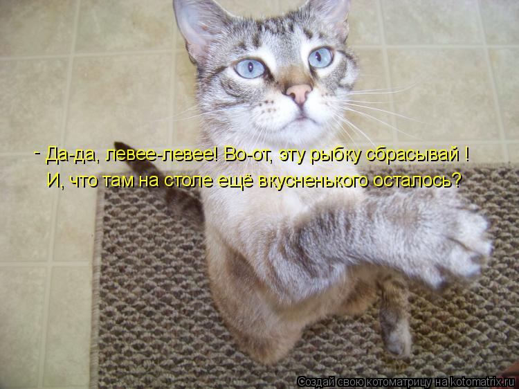 Котоматрица: Да-да, левее-левее! Во-от, эту рыбку сбрасывай ! И, что там на столе ещё вкусненького осталось? -