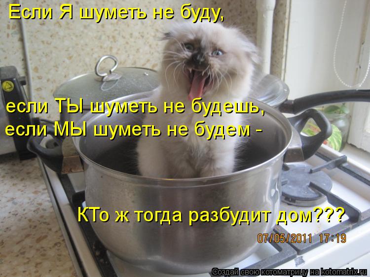 Если Я шуметь не буду, если ТЫ шуметь не будешь, если МЫ шуметь не будем - КТо ж тогда разбудит до... Котоматрица: Если Я шуметь не буду, если ТЫ шуметь не будешь, если МЫ шуметь не будем - КТо ж тогда разбудит дом???