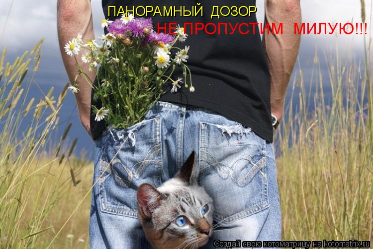 Котоматрица: ПАНОРАМНЫЙ  ДОЗОР   НЕ ПРОПУСТИМ  МИЛУЮ!!!