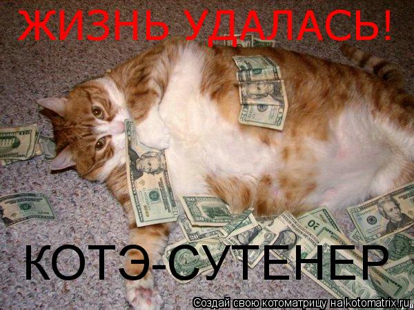 Котоматрица: КОТЭ-СУТЕНЕР ЖИЗНЬ УДАЛАСЬ!