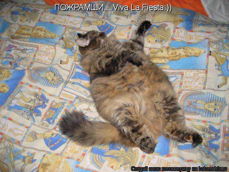 Котоматрица: ПОЖРАМШИ....Viva La Fiesta:))