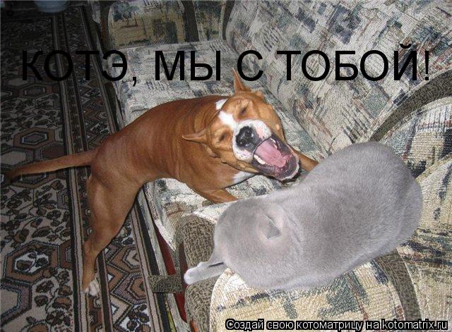 Котоматрица: КОТЭ, МЫ С ТОБОЙ!