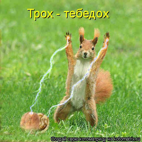 Котоматрица: Трох - тебедох