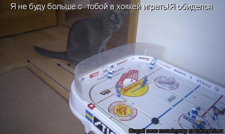 Я не буду больше с тобой в хоккей играть!Я обиделся... Котоматрица: Я не буду больше с тобой в хоккей играть!Я обиделся