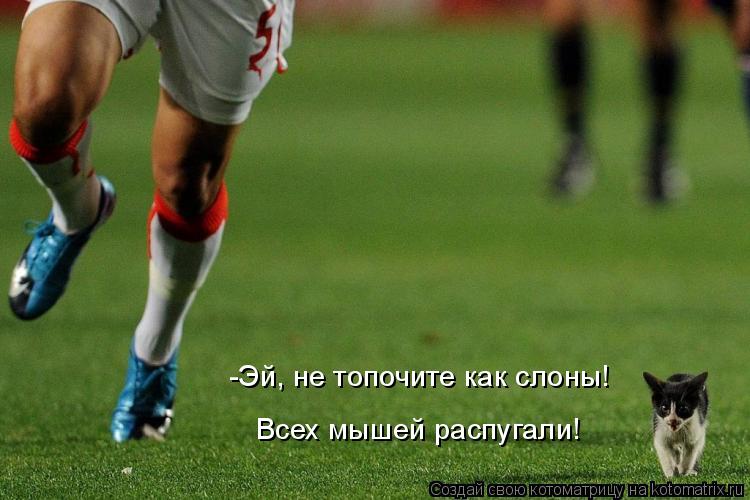 -Эй, не топочите как слоны! Всех мышей распугали!... Котоматрица: -Эй, не топочите как слоны! Всех мышей распугали!