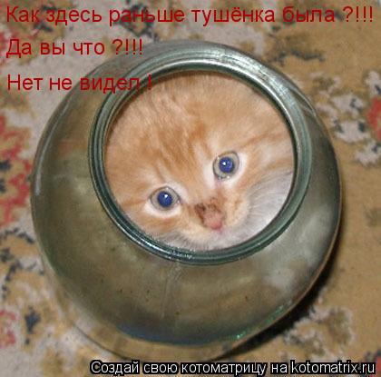 Как здесь раньше тушёнка была ?!!! Да вы что ?!!! Нет не видел !... Котоматрица: Как здесь раньше тушёнка была ?!!! Да вы что ?!!! Нет не видел !