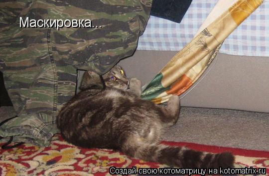 Маскировка...... Котоматрица: Маскировка...