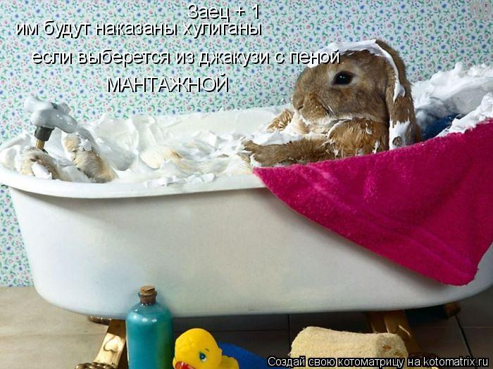 Заец + 1 им будут наказаны хулиганы если выберется из джакузи с пеной МАНТАЖНОЙ... Котоматрица: Заец + 1 им будут наказаны хулиганы если выберется из джакузи с пеной МАНТАЖНОЙ