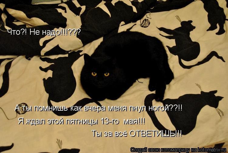 Что?! Не надо!!!??? А ты помнишь как вчера меня пнул ногой??!! Я ждал этой пятницы 13-го мая!!! Ты з... Котоматрица: Что?! Не надо!!!??? А ты помнишь как вчера меня пнул ногой??!! Я ждал этой пятницы 13-го мая!!! Ты за всё ОТВЕТИШЬ!!!