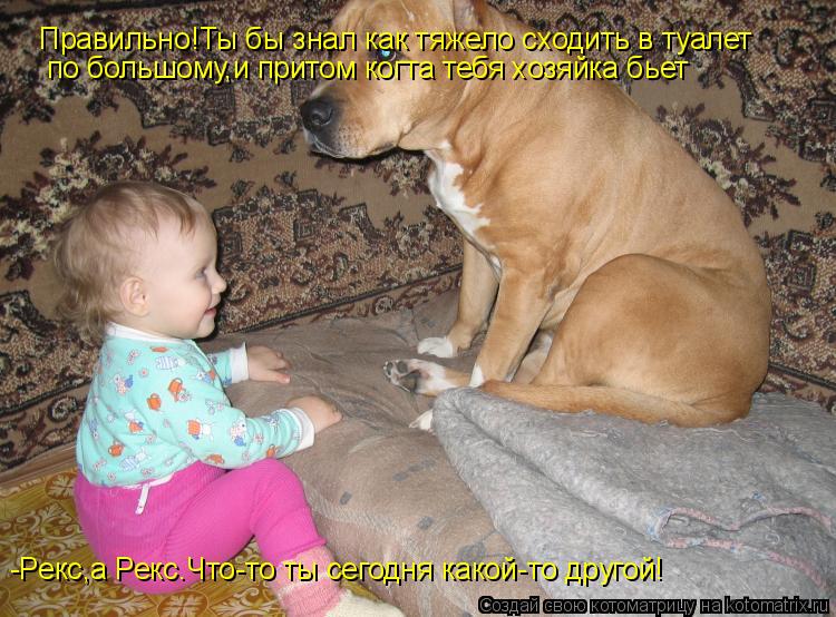 -Рекс,а Рекс.Что-то ты сегодня какой-то другой! Правильно!Ты бы знал как тяжело сходить в туалет по ... Котоматрица: -Рекс,а Рекс.Что-то ты сегодня какой-то другой! Правильно!Ты бы знал как тяжело сходить в туалет по большому,и притом когта тебя хозяйка бьет