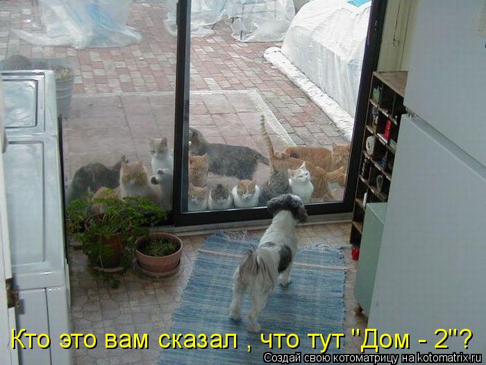Кто это вам сказал , что тут "Дом - 2"?... Котоматрица: Кто это вам сказал , что тут "Дом - 2"?