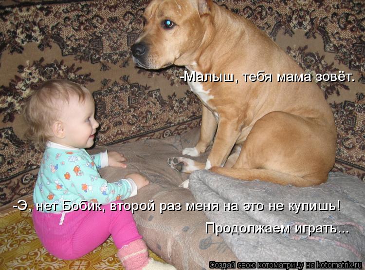 -Малыш, тебя мама зовёт. -Э, нет Бобик, второй раз меня на это не купишь! Продолжаем играть...... Котоматрица: -Малыш, тебя мама зовёт. -Э, нет Бобик, второй раз меня на это не купишь! Продолжаем играть...