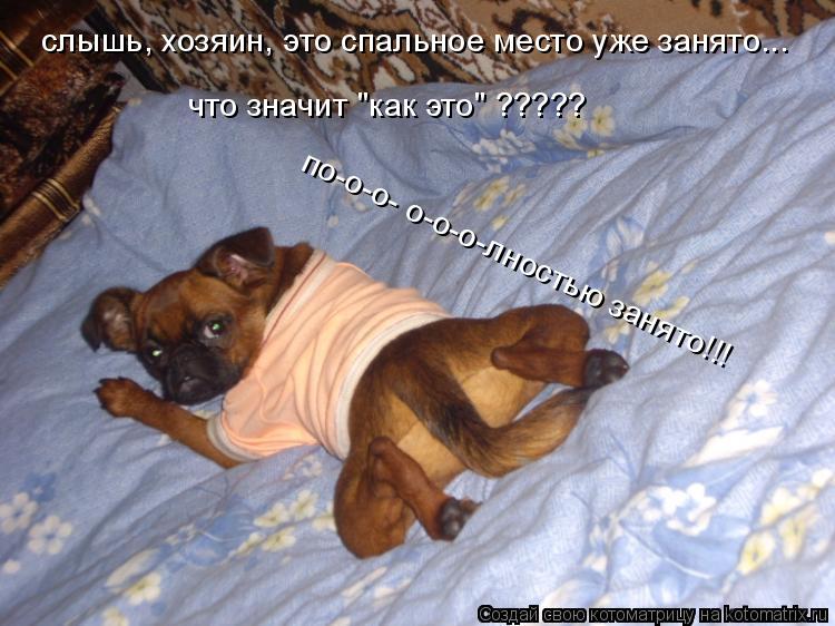 слышь, хозяин, это спальное место уже занято... что значит "как это" ????? по-о-о- о-о-о-лностью заня... Котоматрица: слышь, хозяин, это спальное место уже занято... что значит "как это" ????? по-о-о- о-о-о-лностью занято!!!