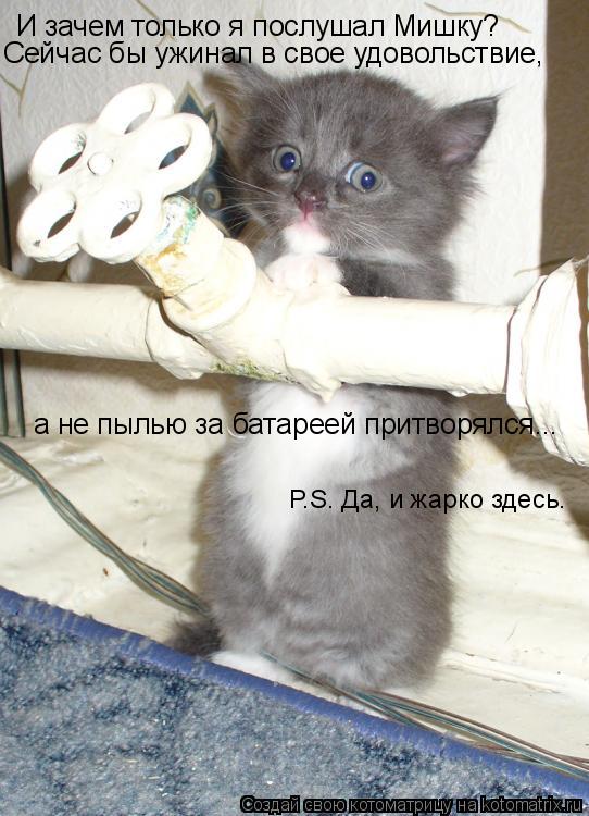 И зачем только я послушал Мишку? Сейчас бы ужинал в свое удовольствие, а не пылью за батареей притвор... Котоматрица: И зачем только я послушал Мишку? Сейчас бы ужинал в свое удовольствие, а не пылью за батареей притворялся... P.S. Да, и жарко здесь.