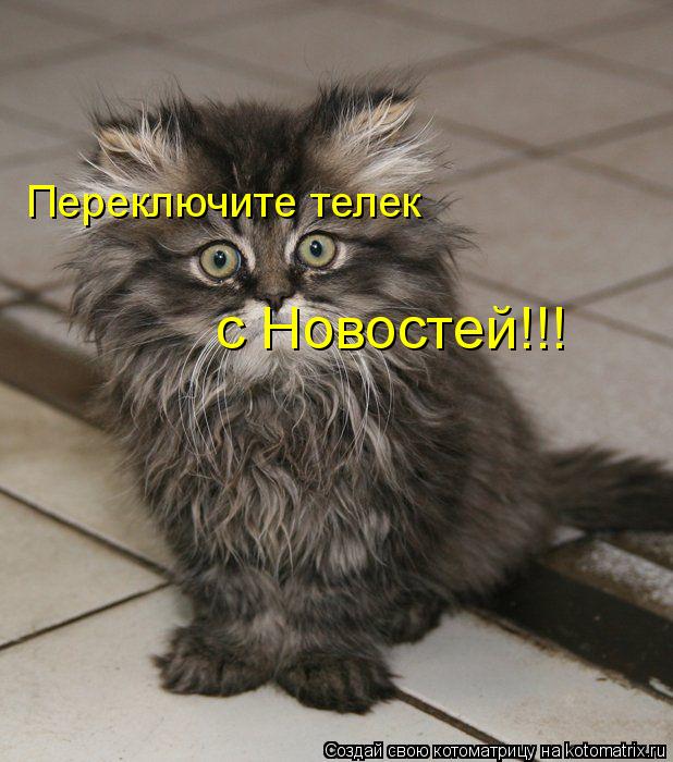 Переключите телек с Новостей!!!... Котоматрица: Переключите телек с Новостей!!!