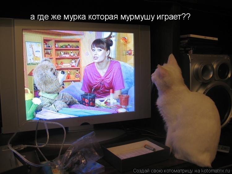 а где же мурка которая мурмушу играет??... Котоматрица: а где же мурка которая мурмушу играет??