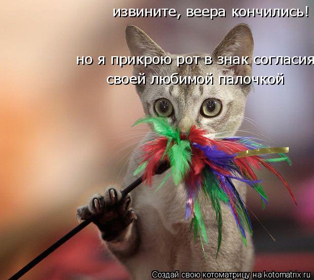 извините, веера кончились! 36 извините, веера кончились! но я прикрою рот в знак согласия своей любим... Котоматрица: извините, веера кончились! 36 извините, веера кончились! но я прикрою рот в знак согласия своей любимой палочкой!! но я прикрою рот в знак сог