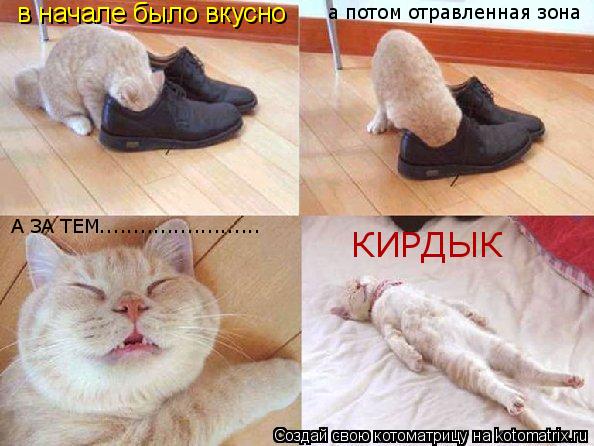 в начале было вкусно а потом отравленная зона А ЗА ТЕМ........................ КИРДЫК... Котоматрица: в начале было вкусно а потом отравленная зона А ЗА ТЕМ........................ КИРДЫК