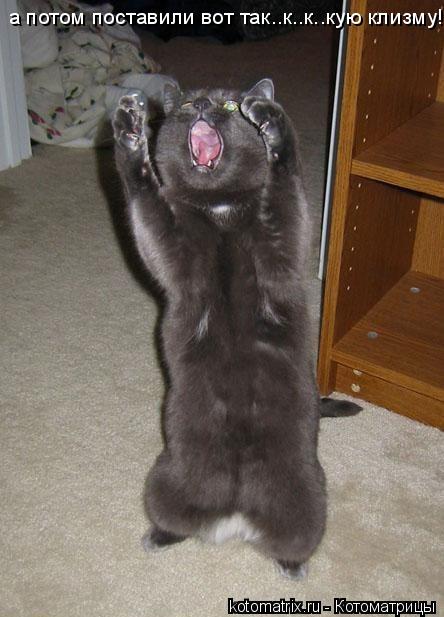 Котоматрица: а потом поставили вот так..к..к..кую клизму!!!!!!!