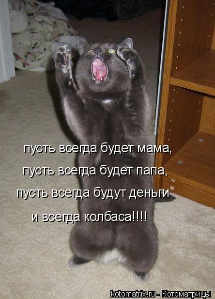Котоматрица: пусть всегда будет мама,  пусть всегда будет папа,  пусть всегда будут деньги  и всегда колбаса!!!!