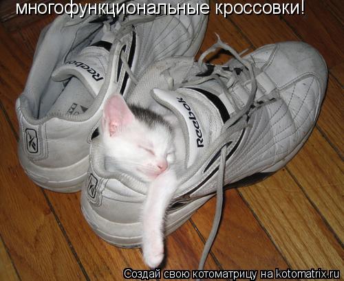 Котоматрица: многофункциональные кроссовки!