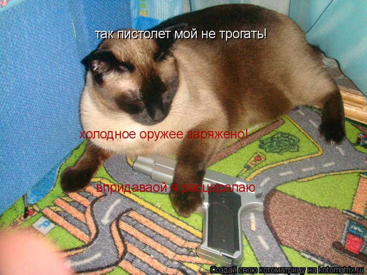 Котоматрица: так пистолет мой не трогать! холодное оружее заряжено! впридаваой я расцарапаю