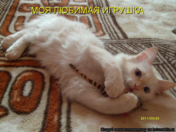 Котоматрица: МОЯ ЛЮБИМАЯ ИГРУШКА