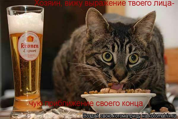 Котоматрица: Хозяин, вижу выражение твоего лица- чую приближение своего конца